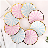 paper plate from MMCIS China